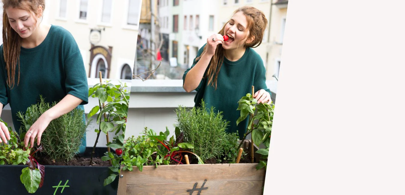 Außenbereich Hochbeete für Kräuter, Obst, Gemüse, Blumen